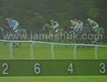 screen shot of a race night provided by james h uk 